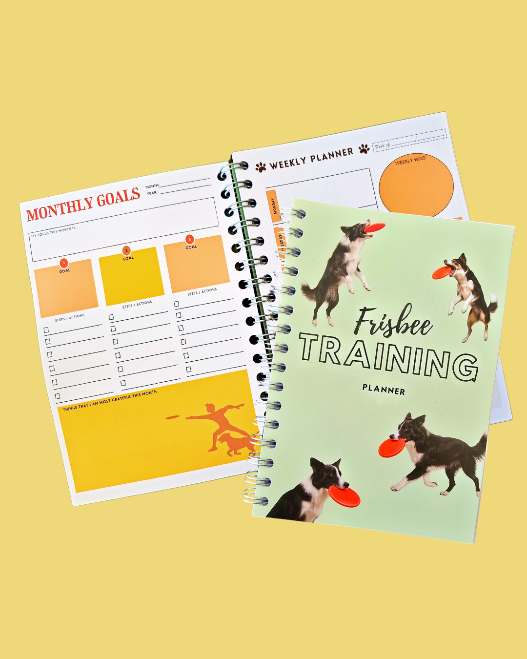 Frisbee Training Planner