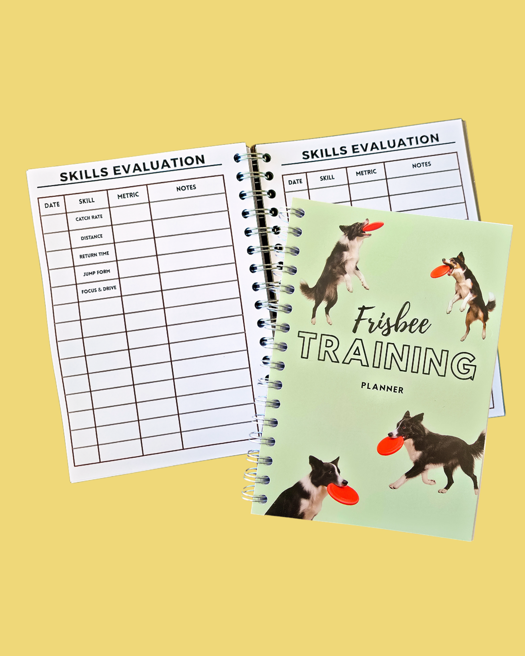 Frisbee Training Planner