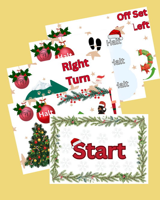 Rally-O Holiday Magic