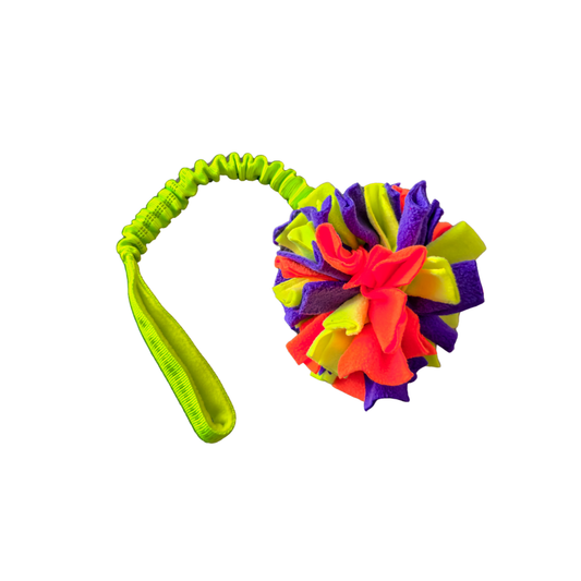 Momentum SoftBall Tug