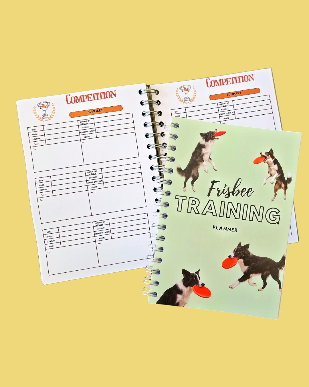 Frisbee Training Planner